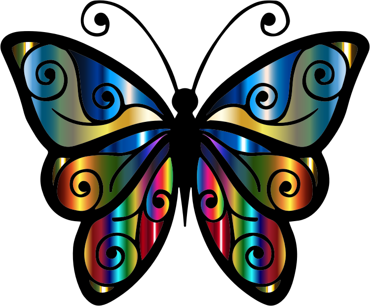 Iridescent Butterfly 4