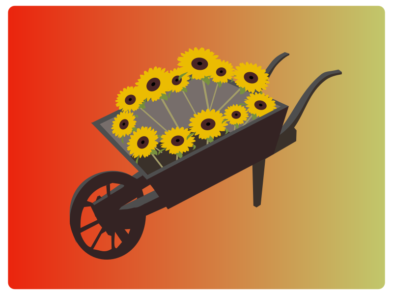 Wheel-barrow-sunflower