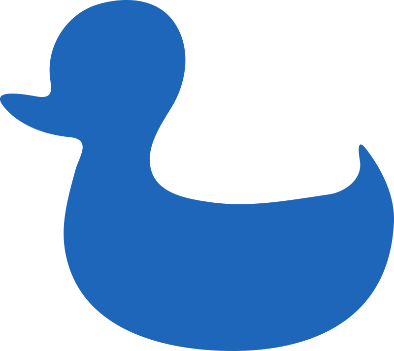 Blue duck