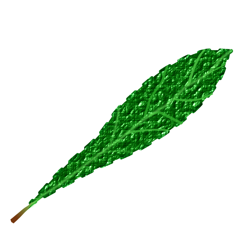 Green leaf 2, textured