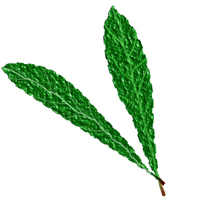 Green leaves, textured