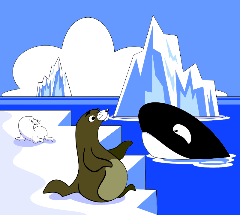 A Seal A Sea Lion And A Killer Whale