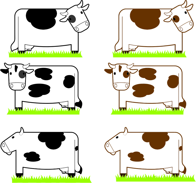 Black And Brown Cows With Grass