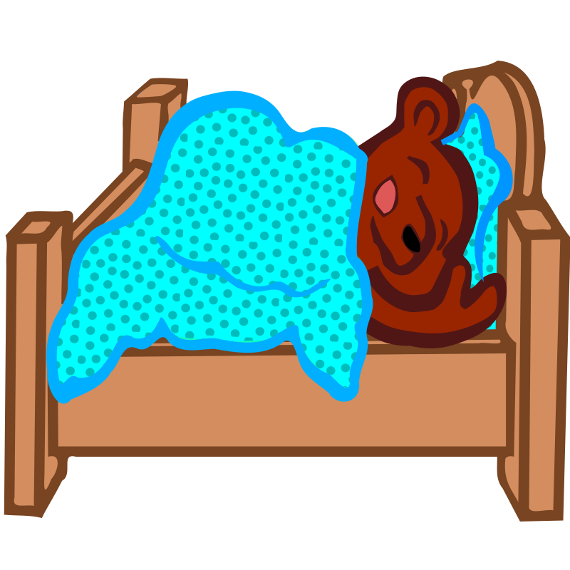 hibernating bear - coloured