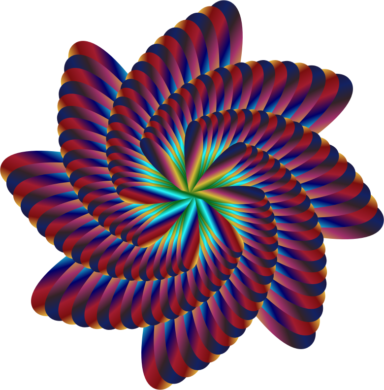 Colorful Nautilus 8