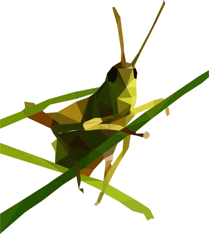 Low Poly Grasshopper