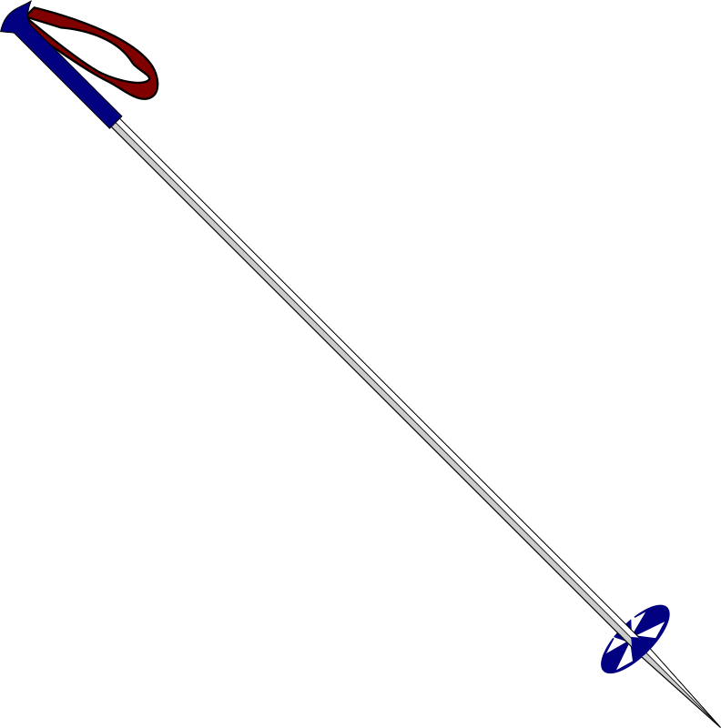 Ski Pole