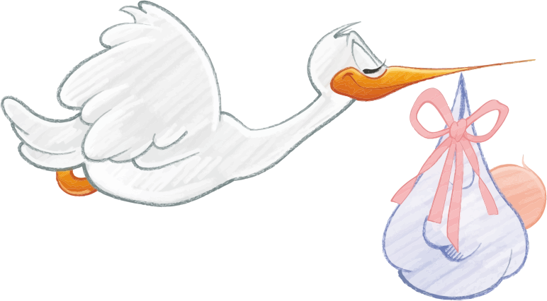 Stork Carrying Baby Girl