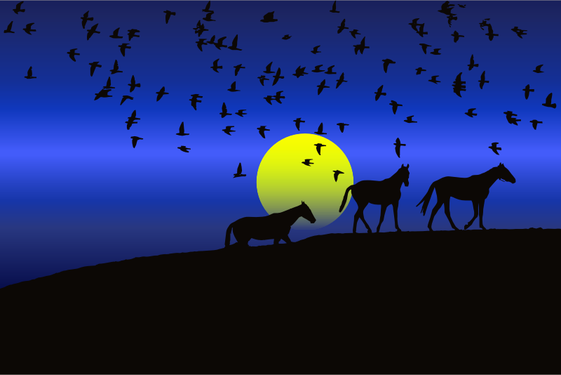 Birds And Horses Silhouette Sunset