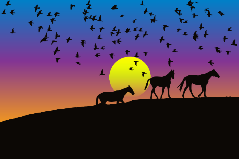 Birds And Horses Silhouette Sunset 2