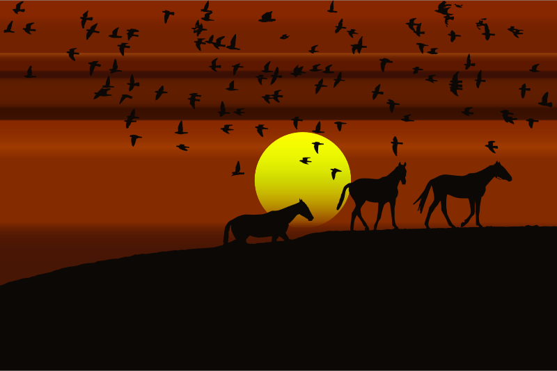 Birds And Horses Silhouette Sunset 3