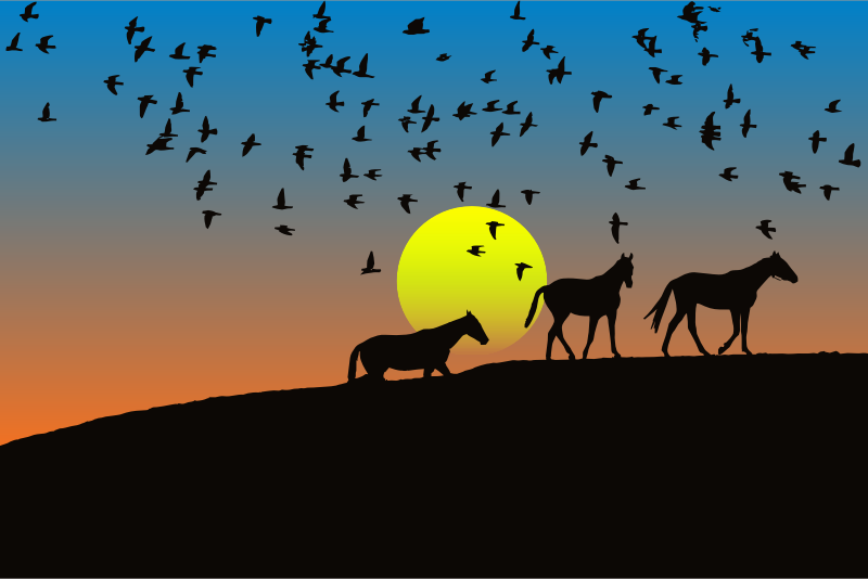 Birds And Horses Silhouette Sunset 4