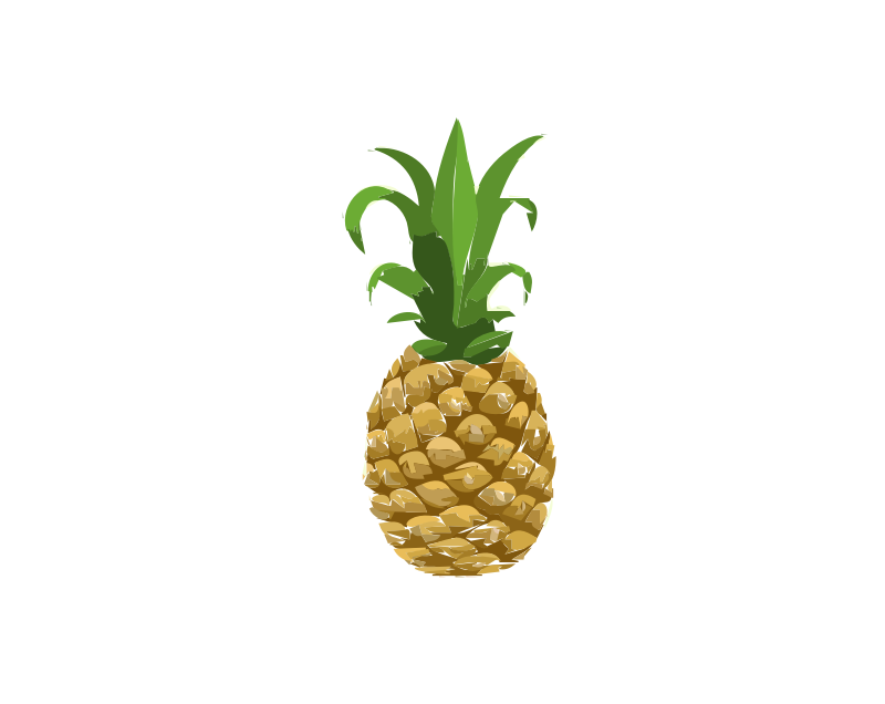 Food pineapple remix
