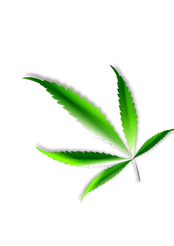  Cannabis leaf
