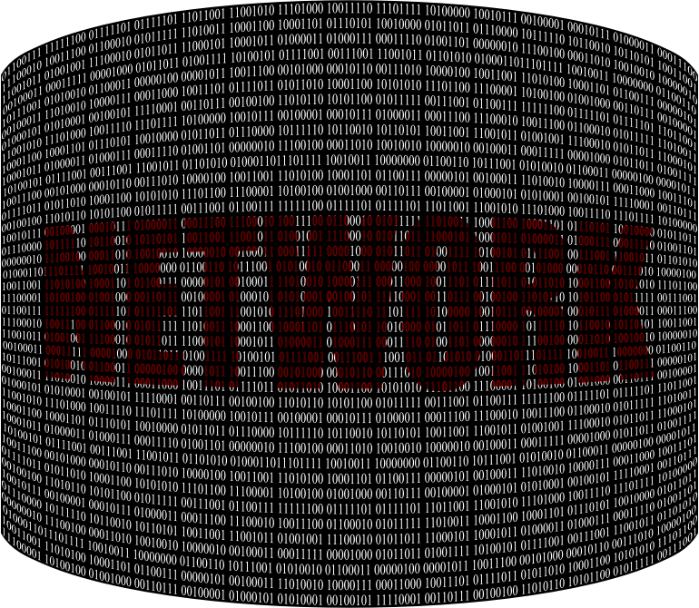 Binary Network 4