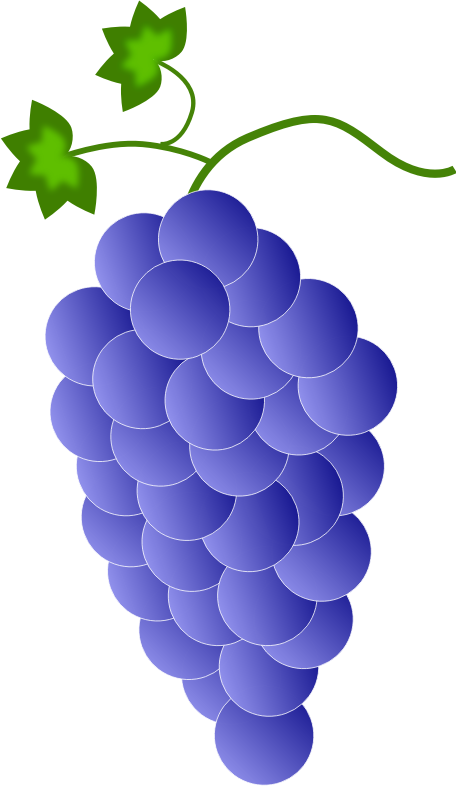 Colored Grapes - Violet \ Blue