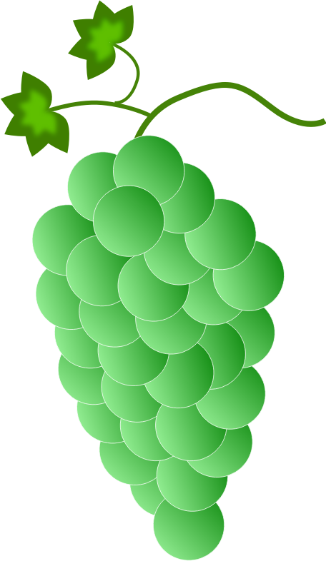 Colored Grapes - green