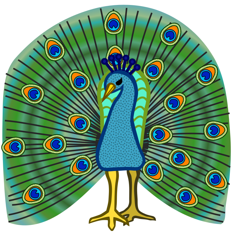 peacock - coloured