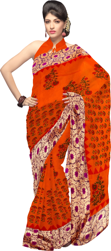 Woman in saree 2
