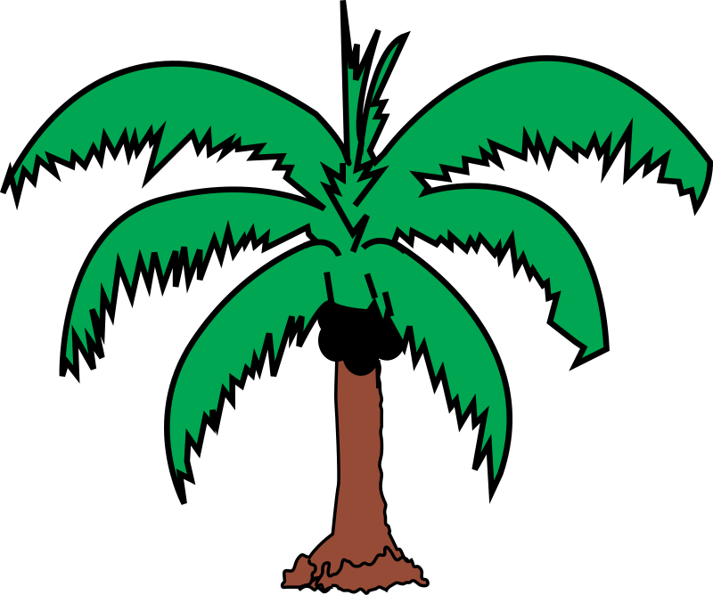 Coconut palm 2