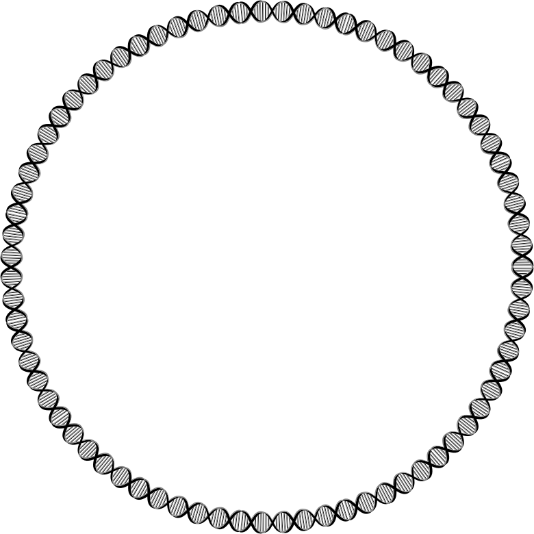 DNA Circle