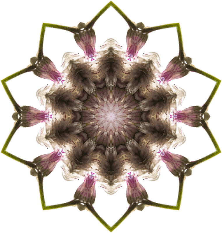 Wildflower kaleidoscope 8