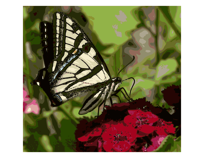 Western Tiger Swallowtail Butterfly - Enhanced color