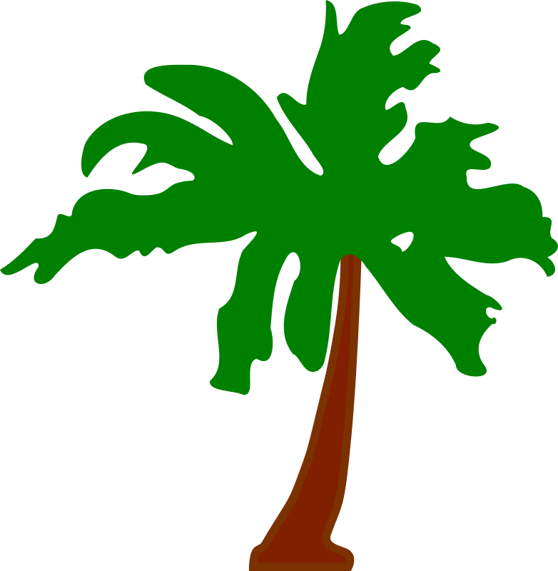 Palm tree 5