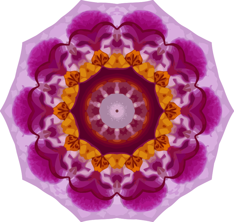 Orchid kaleidoscope 5