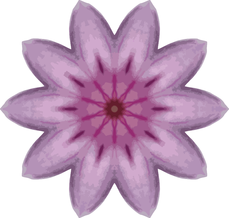 Orchid kaleidoscope 15