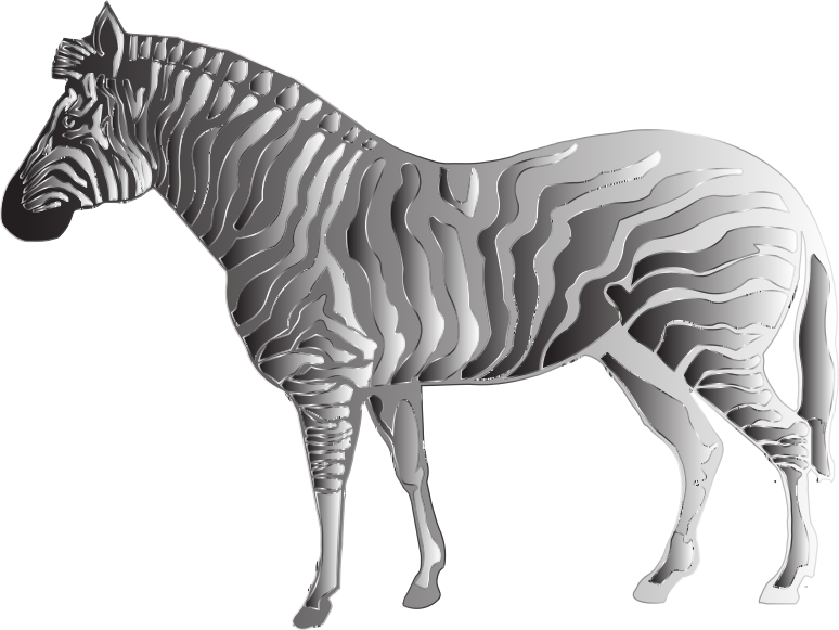 Monochrome Zebra 2