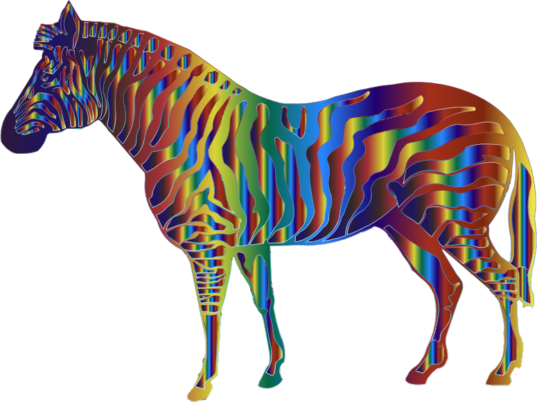 Iridescent Zebra