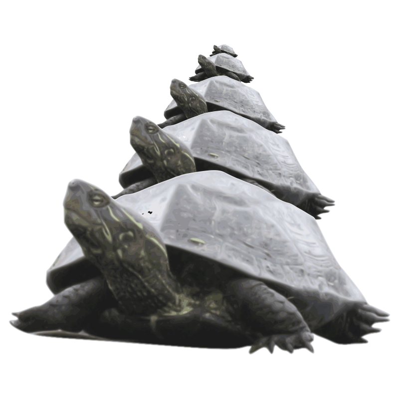pyramid of turtle