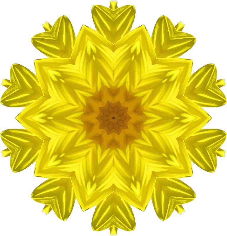 Sunflower kaleidoscope 1