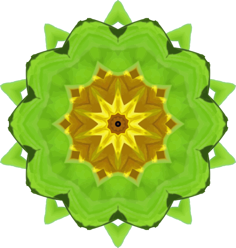 Sunflower kaleidoscope 7