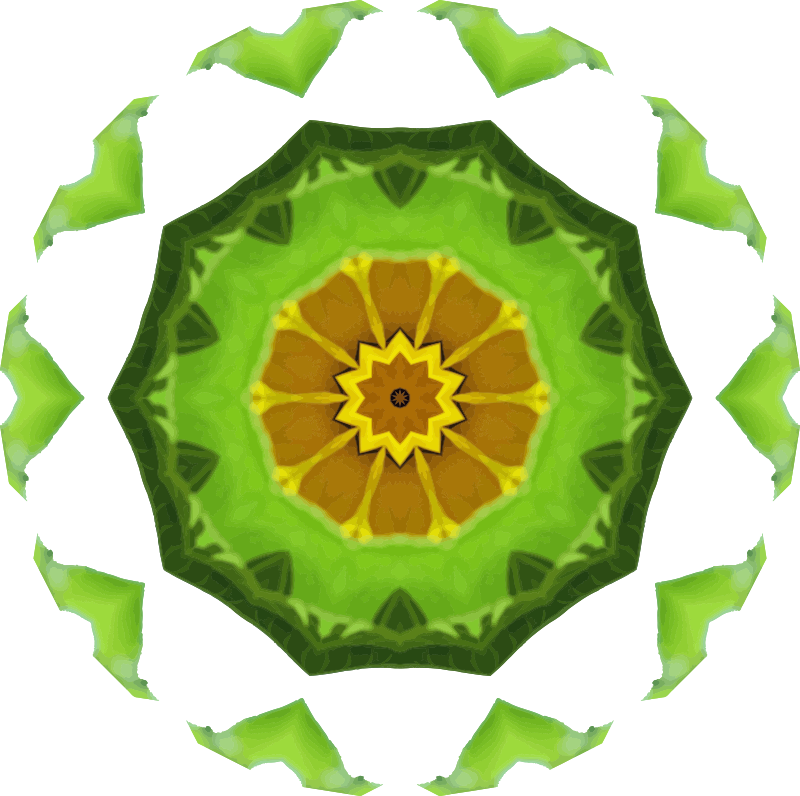 Sunflower kaleidoscope 8