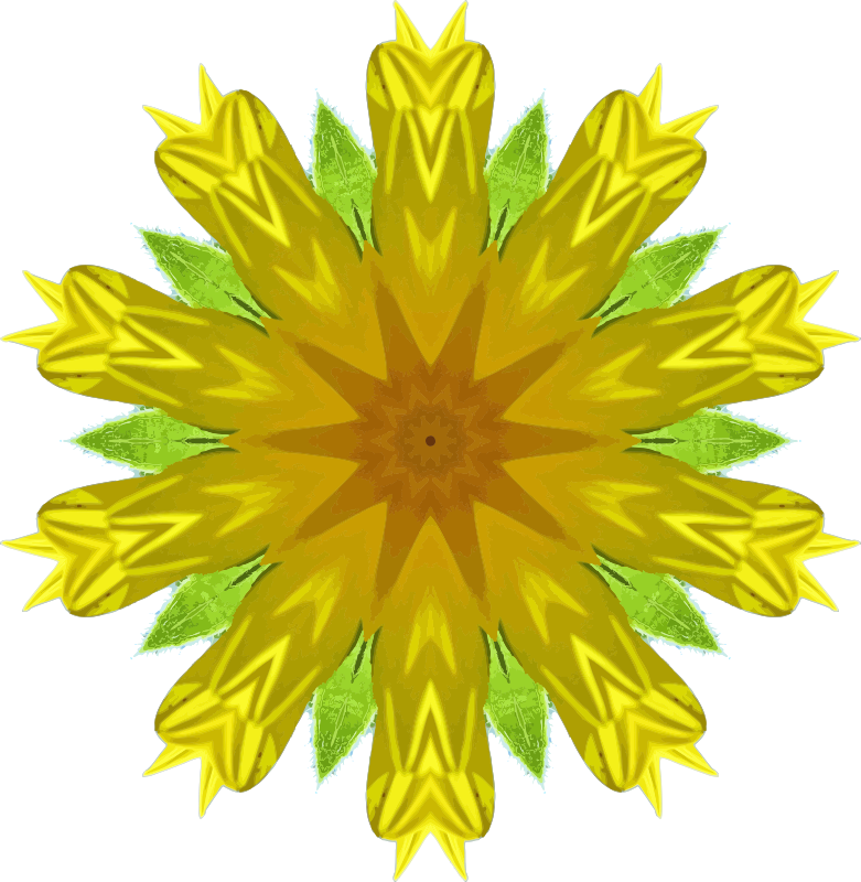 Sunflower kaleidoscope 12
