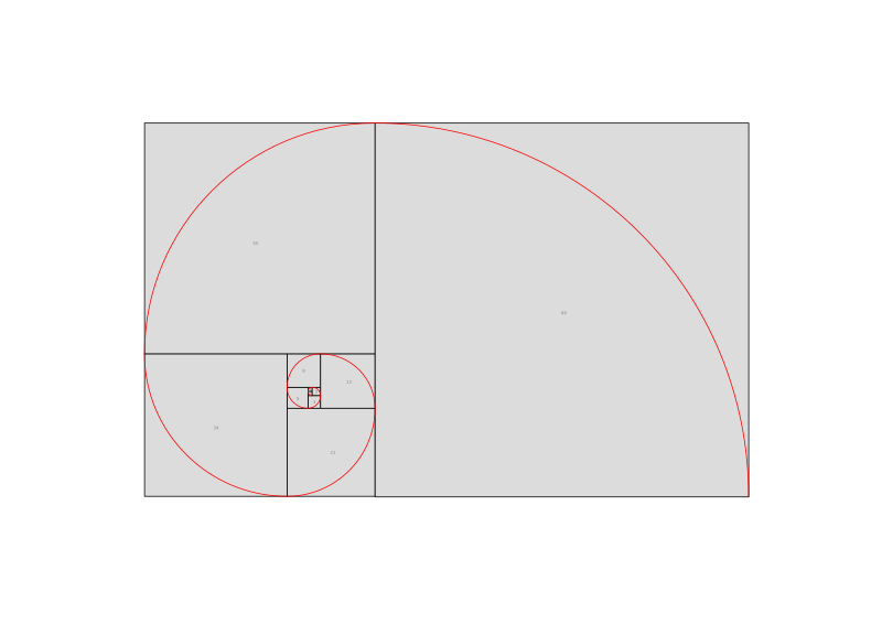 Fibonacci Spiral