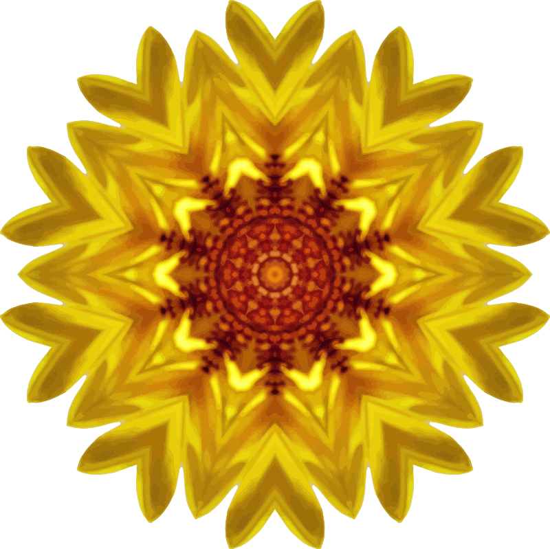 Sunflower kaleidoscope 17