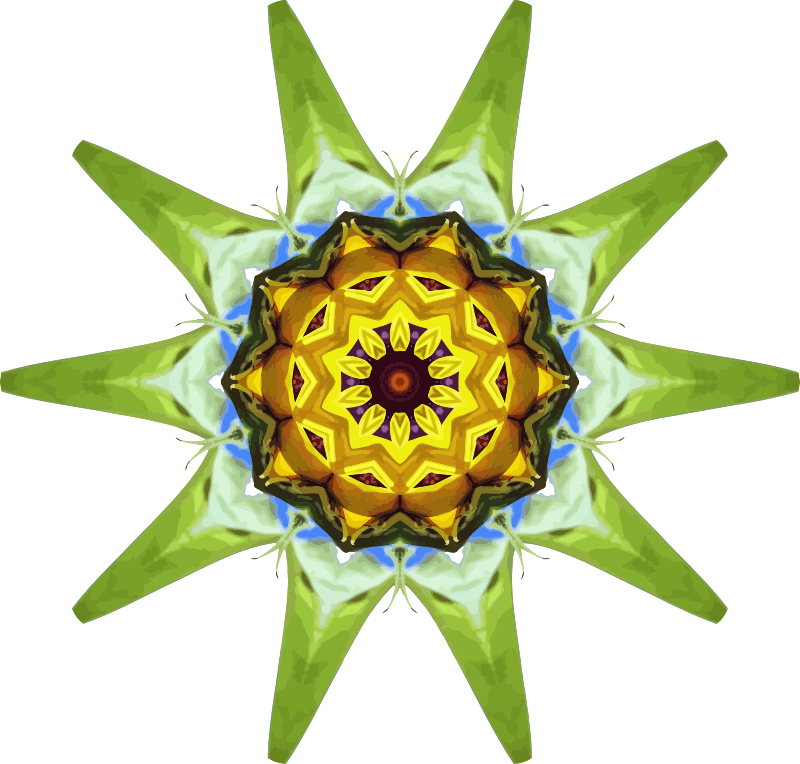 Sunflower kaleidoscope 20
