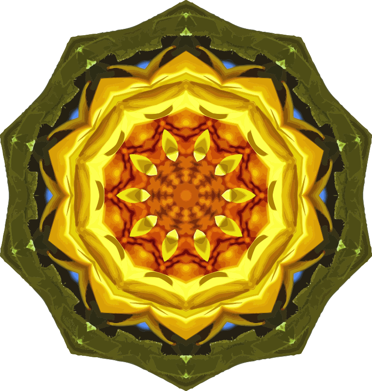 Sunflower kaleidoscope 24