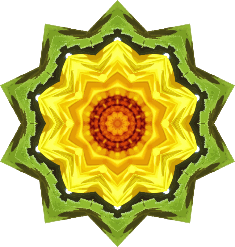 Sunflower kaleidoscope 25