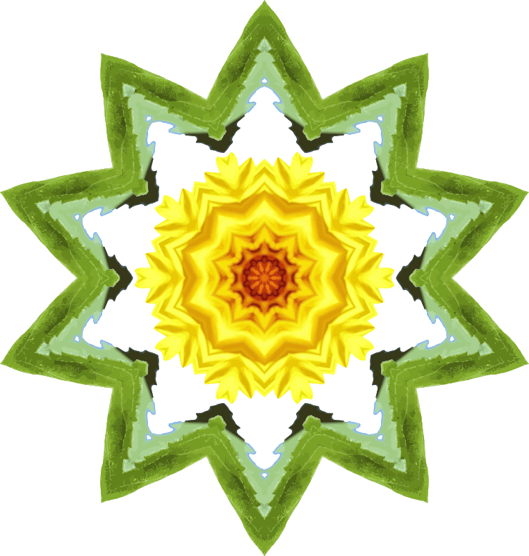 Sunflower kaleidoscope 26