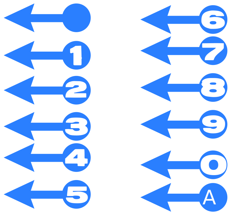 DBB // Numbered Steps Blue Arrow