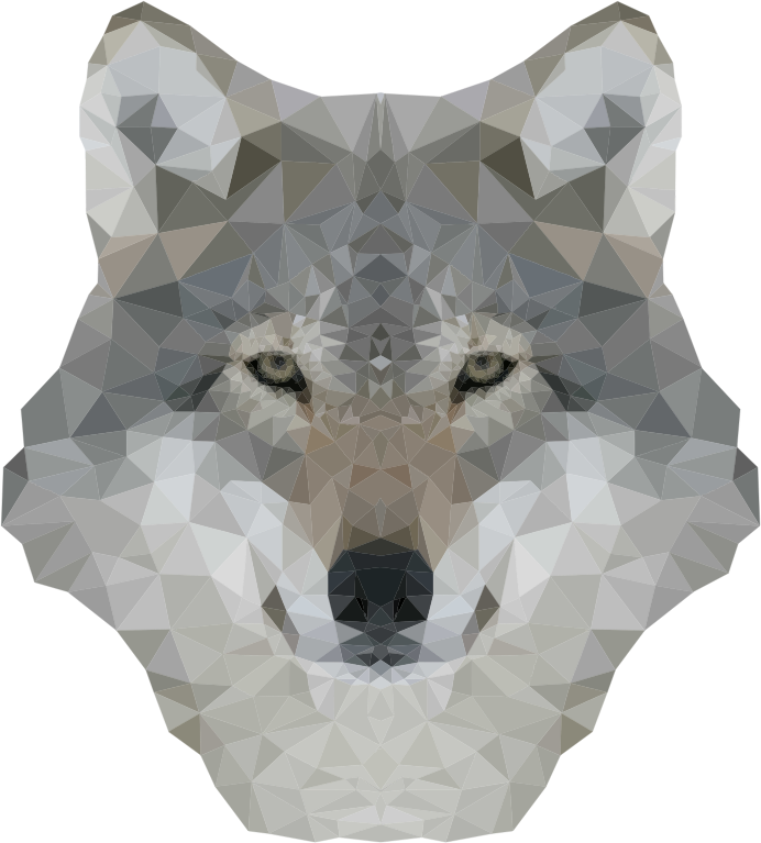 Low Poly Gray Wolf