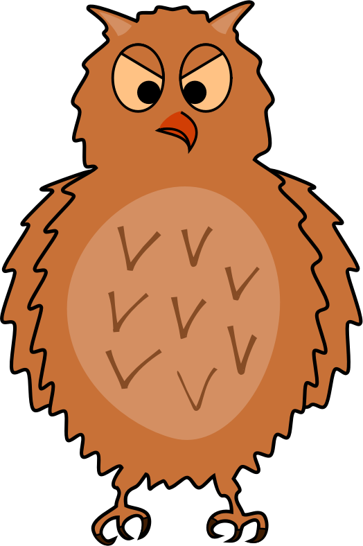 Enraged owl - front view