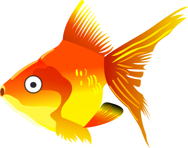 Cartoon goldfish