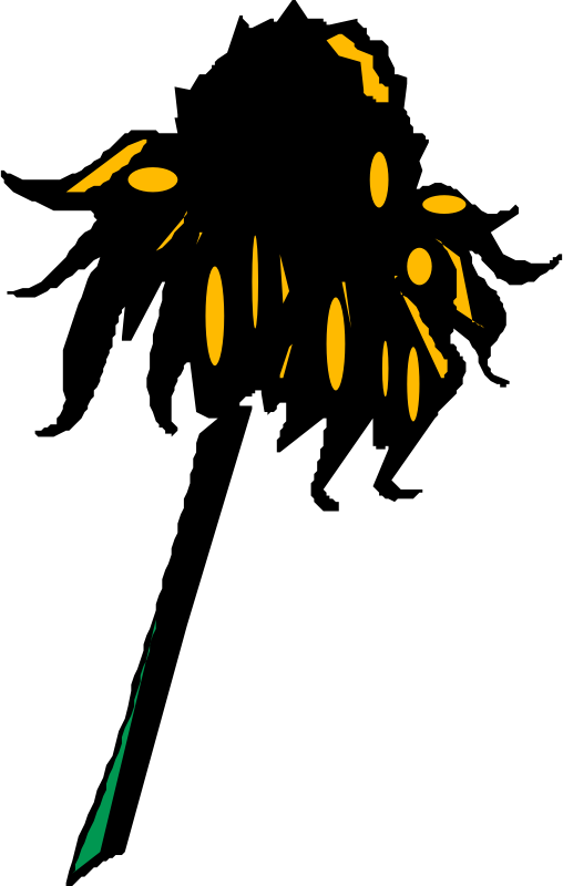 Flower (Rudbeckia)