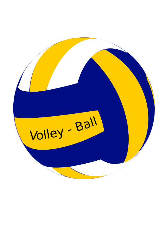 VolleyBall Female Ball