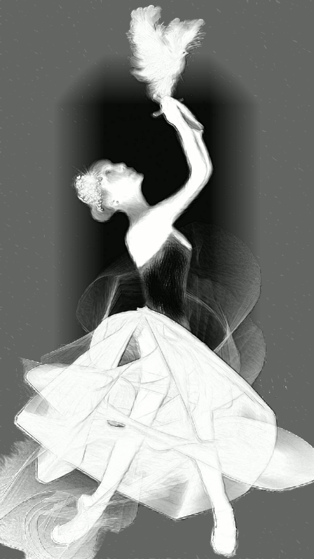 Ballet Black-White Framed Dove Ballerina Suite